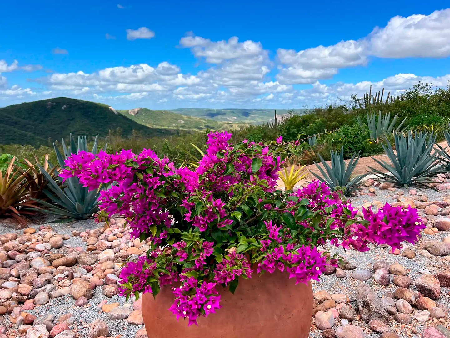 319b86b7-f559-4818-9584-18d543b242941440p