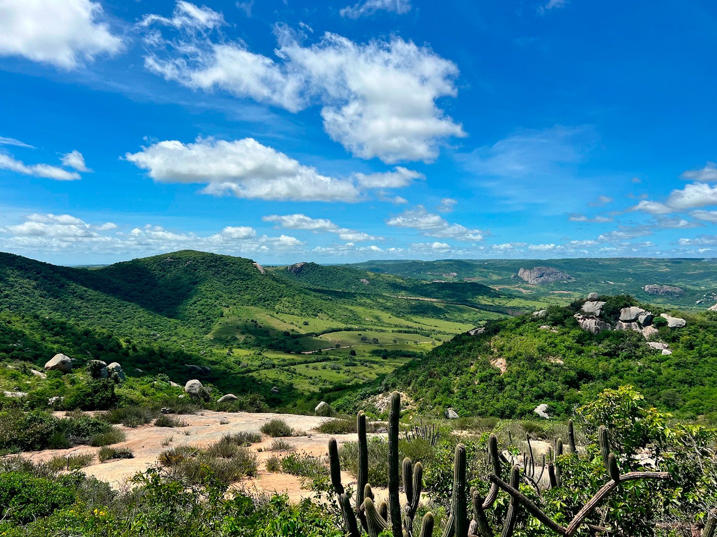 69fc0065-7d1b-4d35-b348-25a40f034bfa1440p